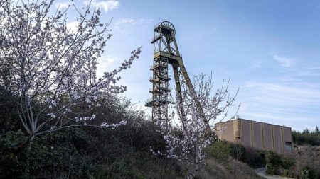 Aude : l’inquiétude grandit après la découverte de taux d’arsenic élevés chez des enfants