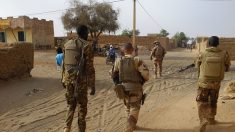 Mali: une vingtaine de djihadistes « neutralisés » par les forces françaises et maliennes