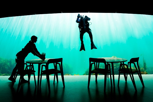 -Un ouvrier prépare les tables à manger pendant qu'un plongeur nettoie l'extérieur d'une fenêtre d'observation de Under, un restaurant semi-submergé sous les eaux de la mer du Nord le 2 mai 2019 à Lindesnes près de Kristiansand, à environ 400 km au sud-ouest d’Oslo. Photo par Jonathan NACKSTRAND / AFP/ Getty Images.