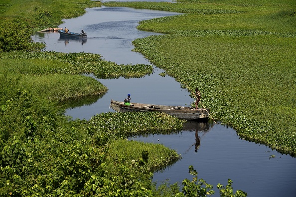 -Des bateliers tentent de naviguer à travers les jacinthes d'eau, une plante aquatique envahissante, flottant sur les côtes de Lagos, le 23 mai 2019. Photo de PIUS UTOMI EKPEI / AFP / Getty Images.