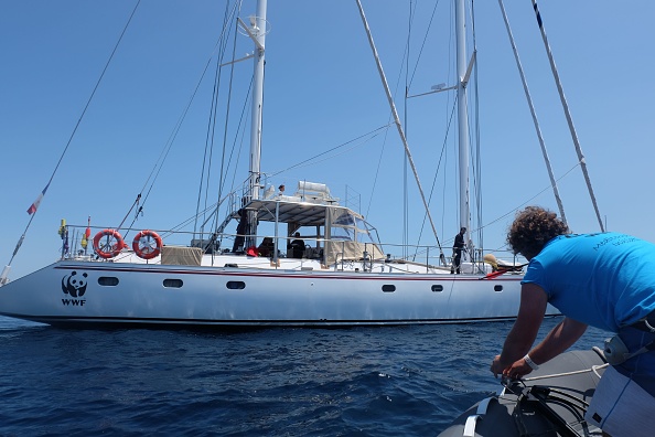 -Dans le sanctuaire Pelagos, la population de rorquals communs est estimée à 1 700 dans le nord-ouest de la Méditerranée. Comme d’autres cétacés présents dans cette mer semi-fermée, ils sont menacés par l’activité humaine. Photo de Laure FILLON / AFP / Getty Images.