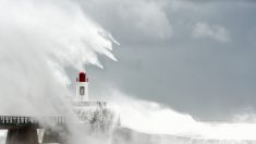 Tempête Miguel : 28.000 foyers privés d’électricité