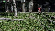 [Vidéos] Orages en Haute-Savoie et dans la Drôme : « des impacts qui auraient pu tuer des enfants de 2 ans »