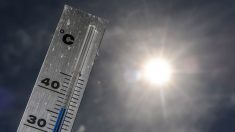 Canicule: quelles obligations pour les entreprises et les salariés ?