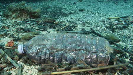 La France, plus gros producteur de déchets plastiques en Méditerranée