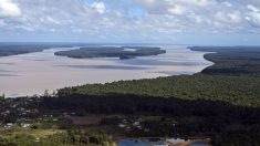 En Guyane, des décharges sauvages perdurent sur les rives du Maroni