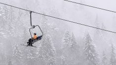 Ukraine: des écologistes s’opposent au projet d’une gigantesque station de ski