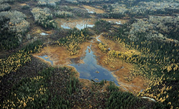 -Vue aérienne d'un lac et de forêts dans la province d'Alberta, Canada, le 23 octobre 2009. Le Pr Joshua Kurek de l'université Mount Allison au Nouveau-Brunswick a trouvé des traces de DDT dans des sédiments lacustres. Photo MARK RALSTON / AFP / Getty Images.