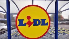 À cause de résidus de pesticides, l’enseigne Lidl rappelle des légumes à ratatouille