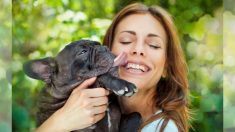 Pourquoi vous ne devriez jamais laisser votre chien vous lécher le visage – une vérité crue