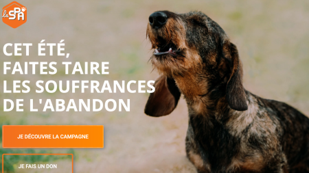 Vacances : une campagne de la SPA contre « les souffrances de l’abandon »