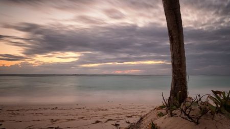 République dominicaine : un 12e Américain décède dans des circonstances suspectes