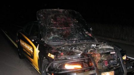 Une caméra sur le tableau de bord d’une voiture montre un officier entrant en collision avec un cerf à 180 km/h