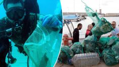 Un groupe de 633 plongeurs ramasse 1400 kg de déchets sous-marins, établissant un nouveau record mondial