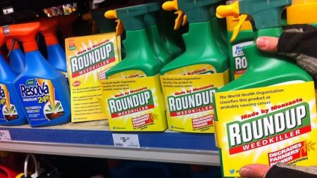 Glyphosate : les résultats d’une nouvelle étude française pas avant 2021