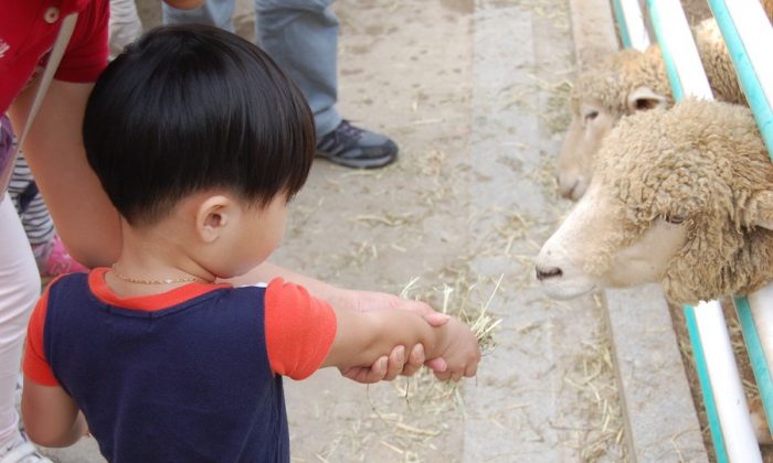 Photo d'archives d'un enfant dans un zoo. (g4488 /Pixabay)