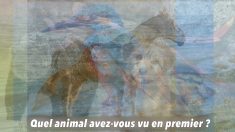 Le premier animal que vous voyez sur cette photo révélera de nombreux traits sur votre personnalité!