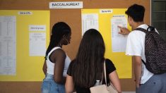 Essonne : recalés au bac, deux lycéens agressent sauvagement le proviseur