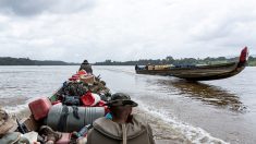 Guyane : trois militaires décédés, un blessé grave durant une opération contre l’orpaillage illégal