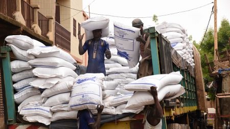 Sommet UA: lancement « historique » de la zone de libre-échange africaine