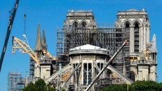 Travaux, dons, pollution: quel bilan à Notre-Dame, trois mois après ?