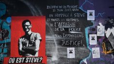 Fête de la Musique à Nantes : suite à la disparition de Steve, la maire demande des explications à Christophe Castaner