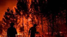 Incendies au Portugal : des feux de forêt d’une « extraordinaire difficulté »