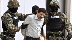 Le narcotrafiquant « El Chapo » condamné à la perpétuité