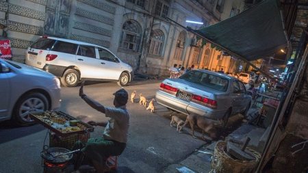 Des prières bouddhistes pour apaiser les chiens de rue en Birmanie