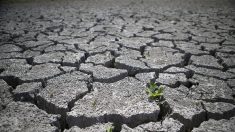 Restrictions d’eau renforcées en Vendée, 32 départements concernés