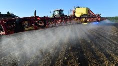 L’Autriche, premier pays européen à interdire le glyphosate