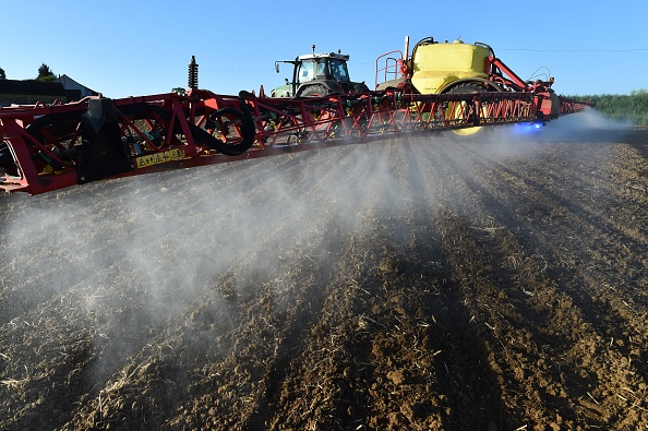 Traitement au glyphosate en 2018 dans le Nord de la France. (JEAN-FRANCOIS MONIER/AFP/Getty Images)