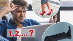 Une illusion d’optique intéressante : combien de jambes voyez-vous dans cette photo ? Difficile à dire