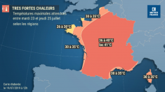 MÉTÉO – Une nouvelle canicule se prépare, plus courte mais avec des pics à 42°C