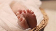 Le bébé oublié dans une voiture dans le Loiret n’a pas survécu