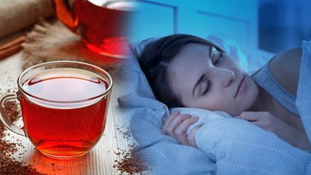 Le thé rooibos : une boisson sans caféine pour soulager la douleur et vous aider à mieux dormir