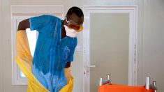 Ebola: portrait d’un virus tueur