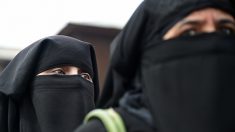 Pays-Bas: la burqa et le niqab sont officiellement interdits dans les lieux publics