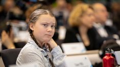 La blague sur Greta Thunberg d’une adjointe à l’Environnement sur Twitter n’a pas du tout amusé l’Élysée