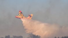 Deux incendies ravagent plus de 90 hectares dans le sud de l’Ardèche