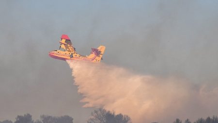 Deux incendies ravagent plus de 90 hectares dans le sud de l’Ardèche