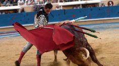 Corrida : la présence de deux ministres choque les militants de la cause animale