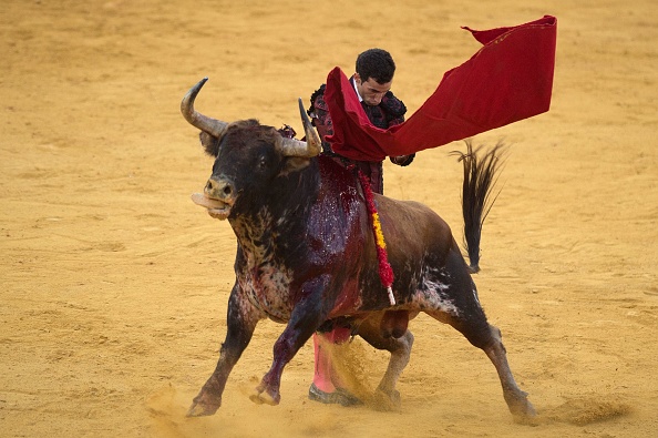     (Photo : JORGE GUERRERO/AFP/Getty Images)