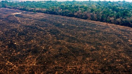 Amazonie: la Colombie demande des moyens à la communauté internationale