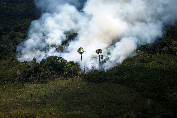 -Illustration- Une photo de militant de Greenpeace du 14 octobre 2014 qui ne reflète pas la réalité de ce jour. De RAPHAEL ALVES / AFP / Getty Images.