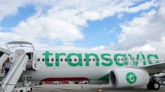 Quand un passager musulman attaquait une hôtesse de l’air sur un vol Transavia entre Paris et Tunis après sa prière