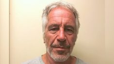 Aucune preuve criminelle dans la mort de Jeffrey Epstein, selon un organisme de surveillance