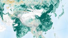 La planète n’a jamais été aussi verte depuis 20 ans – plus de 5,5 millions km² gagnés