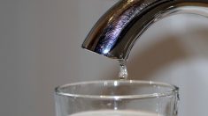 Pénurie en eau : près d’un quart de la population mondiale menacée