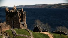 Une vidéo récemment filmée soutient la théorie d’une anguille géante dans le Loch Ness